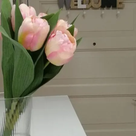 아파트 Parque Santiago 1 On The Coastline 플라야데라스아메리카스